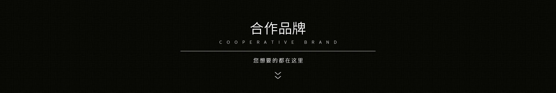 品牌展示